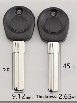 Mercado de Oriente Medio ABS Metal Doble Cerradura de Puerta con mango de goma y llave de latón